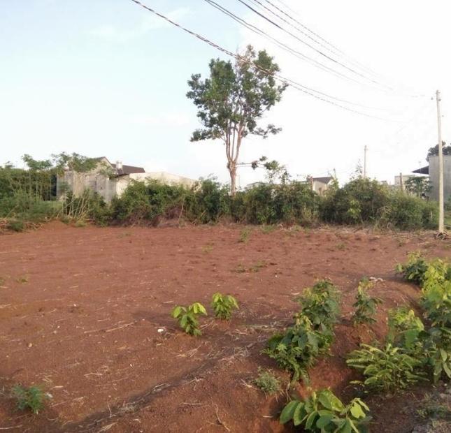 Bán đất tại Đường Nguyễn Phúc Chu, Buôn Ma Thuột,  Đắk Lắk diện tích 120m2  giá 235 Triệu