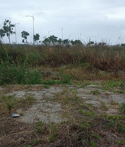 Bán gấp lô đất KDC Nam Cầu Nguyễn Tri Phương, gần cầu Khuê Đông, sau lưng trường Chú Ếch Con