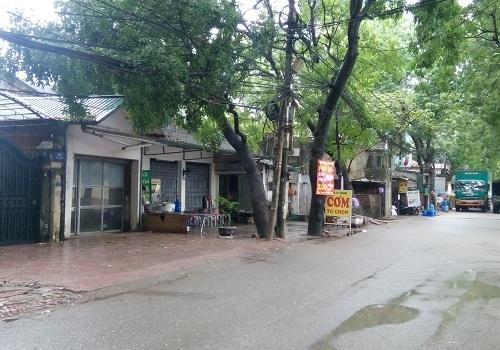 Bán biệt thự mặt phố đường Hồ Mễ Trì, quận Nam Từ Liêm, Hà Nội