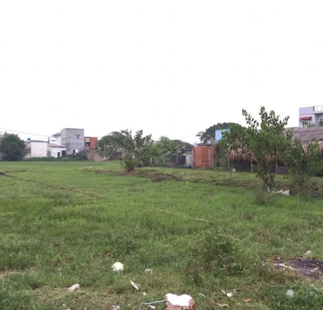 Đất xây trọ gần KCN Tân Đô, 3,6tr/m2, công nhân đông, thu nhập 12- 15tr/tháng
