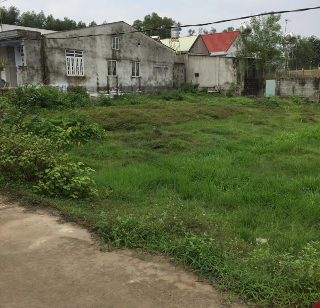 Cần bán gấp hơn 2 sào đất, ở gần sân bay quốc tế Long Thành, Lộc An