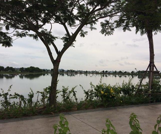Bán đất khách sạn 5* 4 mặt tiền đường Hoàng Quốc Việt, Bãi Cháy, Hại Long