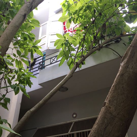 Nhà 2 tầng thêm 8 phòng trọ Nguyễn Hoàng trung tâm TP gần trg Đại học