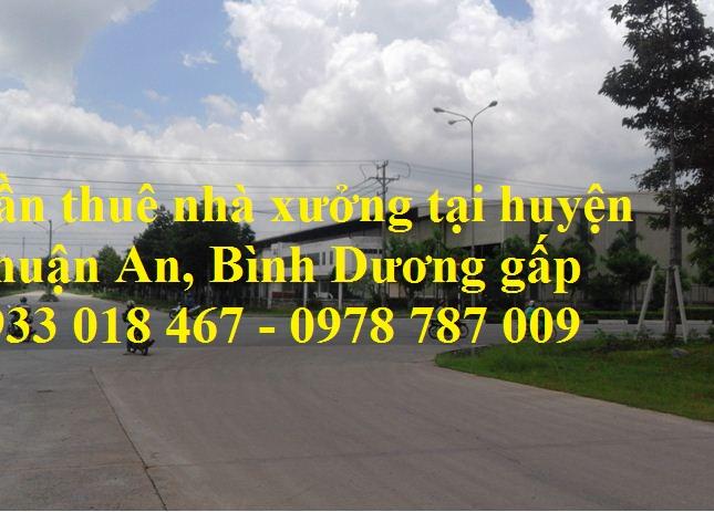 Cần thuê nhà xưởng gấp tại huyện Thuận An, Bình Dương 0933 018 467 