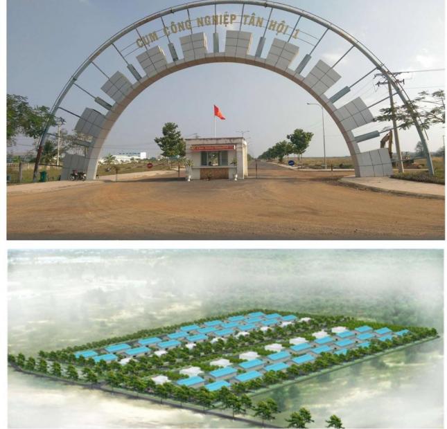 Cần cho thuê gấp đất trống tại cụm CN Tân Hội, Tân Châu, Tây Ninh tiện xây nhà máy, xí nghiệp