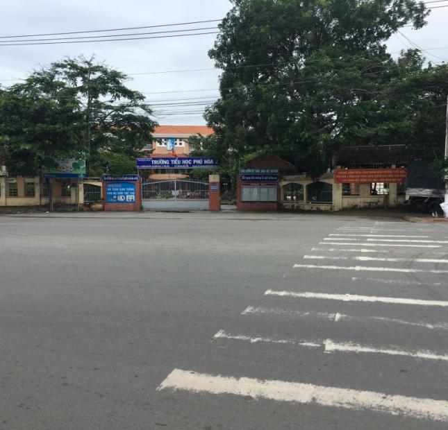Đất Phú Hòa mặt tiền đường nhựa gần trường tiểu học Phú Hòa