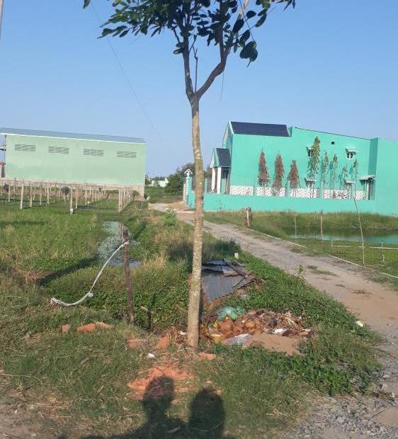 Bán đất thổ cư Ql50, gần KCN Tân Kim, giá rẻ 5,6tr/m2, đầu tư sinh lợi cao, sổ hồng chính chủ