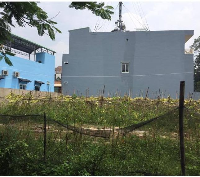 Bán đất tại Đường Nguyễn Xiển, Quận 9, Hồ Chí Minh diện tích 100m2 giá 2,3 tỷ