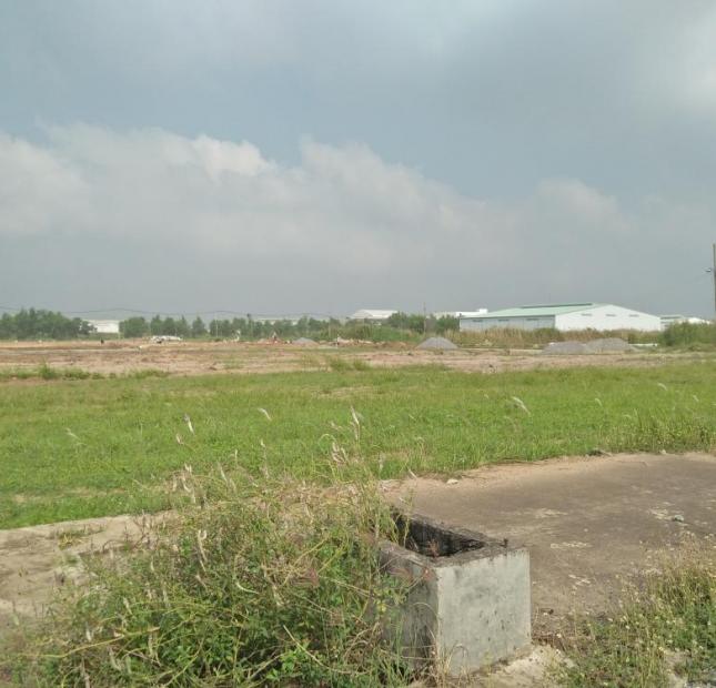 Bán đất tại Xã Cần Đước, Cần Đước, Long An diện tích 100m2 giá 650 Triệu