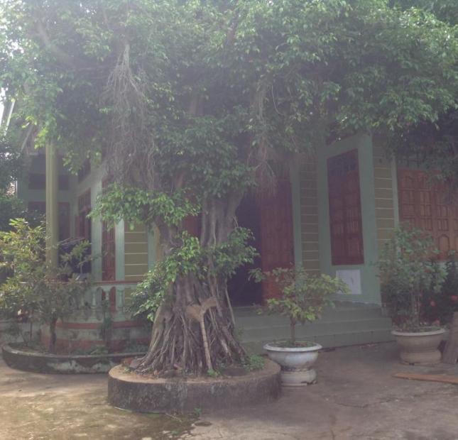 Chính chủ cần bán gấp giá rẻ nhà và vườn mặt tiền đường Hùng Vương, Cư Jut, Đăk Nông
