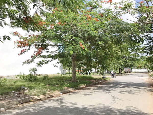 Bán đất thị trấn Nhà Bè, KDC Sài Gòn Mới, đường Huỳnh Tấn Phát