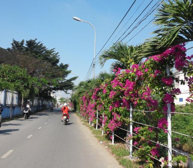 Bán đất đối diện trung tâm thương mại đường số 08 (20m), đông nam, Lê Hồng Phong 2, Nha Trang giá rẻ