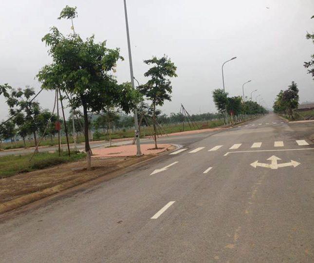 Đất mặt phố kinh doanh, Chiết Khấu 7%, sổ đỏ ngay– tại KDT Nam Vĩnh Yên 
