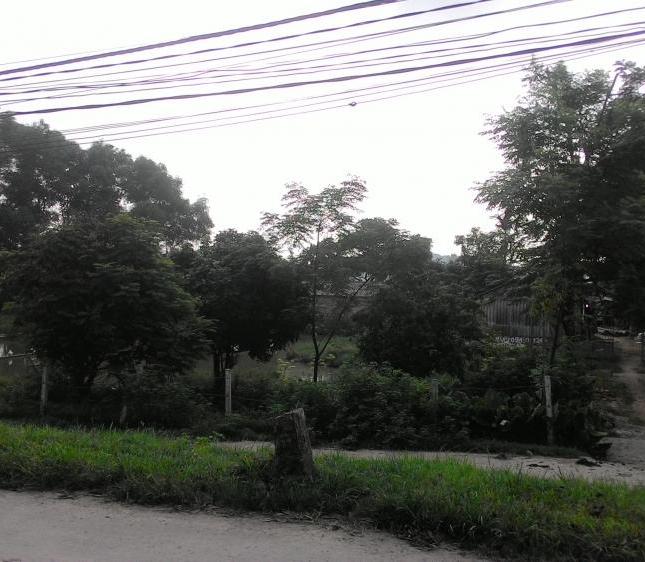 Bán đất ở Sóc Sơn Hà Nội chính chủ làm trang trại khu nghỉ dưỡng.