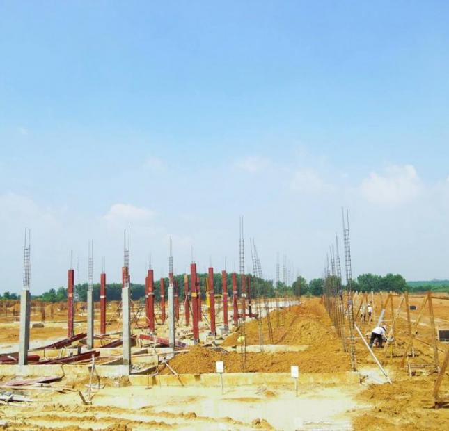 Bán đất nền dự án The Viva City, đối diện khu công nghiệp Giang Điền, giá 600 tr/nền