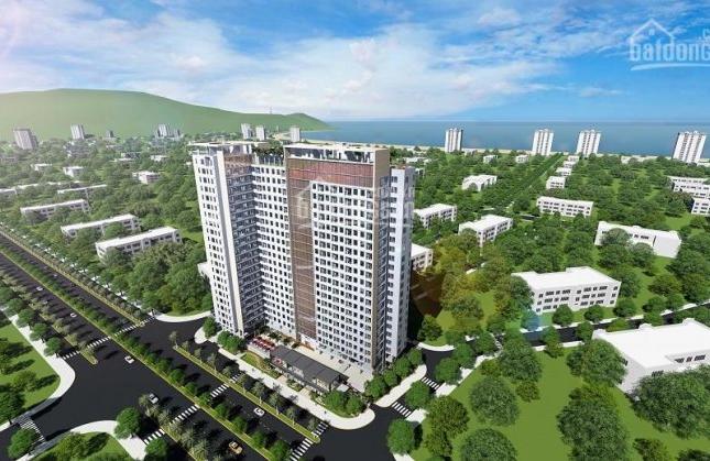 Căn hộ Sơn Trà Ocean View có gì đặc biệt