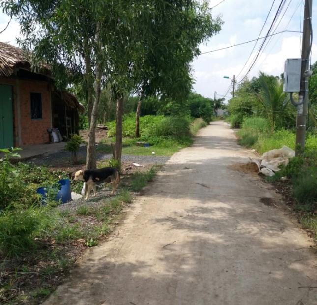 3.2 tr/m2 đất thổ vườn đường Lê Văn Lương, MT hẻm chính, trả nợ bán nhanh