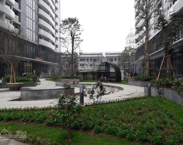 Cho thuê căn hộ chung cư Tràng An Complex 100m2, 2 PN + 1 kho full nội thất lung linh, 15 tr/th