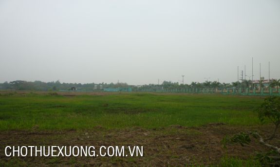 Cho thuê đất trống gần Thanh Trì, Hà Nội với giá cực hợp lý 