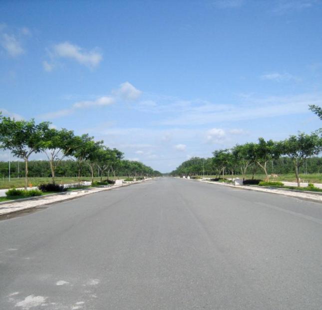Bán 2,1 ha đất vườn, vị trí vàng sinh lợi nhuận cao tại Long Tân, Nhơn Trạch, giá chỉ 550 nghìn/m2