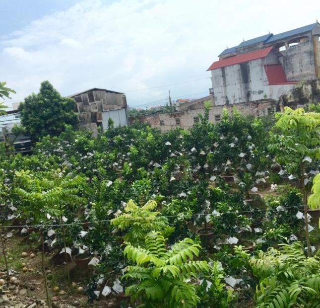 •	Cần bán Gấp đất nhà vườn ven hồ 24x60m tại thị trấn Văn Giang. Giá Rẻ.