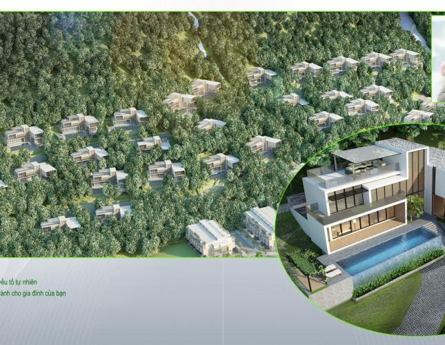 Bán đất nền dự án tại dự án Green Home Quy Nhơn, Quy Nhơn, Bình Định, DT 120m2, giá 27 triệu/m²