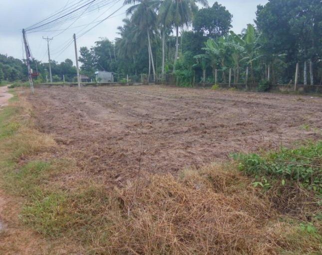 Bán đất trồng cây hàng năm Trảng Bàng, KCN Trãng Bàng, LH: 0933016826