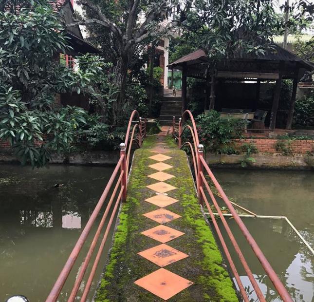 Biệt thự nhà vườn đường Nguyễn Xuân Nguyên, DT 1500m2