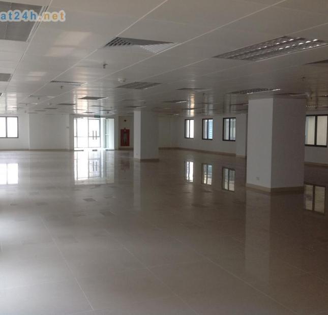 Cho thuê văn phòng phố Hoàng Quốc Việt 180, 250…1000m2 - giá 200 nghìn/tháng