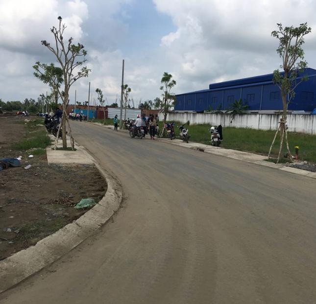 Cần bán gấp 2 miếng đất liền kề mặt tiền đường Đoàn Nguyễn Tuấn, để thanh lý tiền ngân hàng