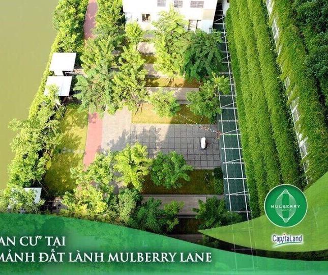 Những căn hộ 3PN siêu sang giá shock nhất tại dự án Mulberry Lane - Mỗ Lao, Hà Đông
