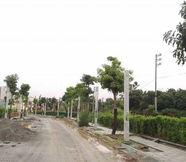 Phá giá đất nền biệt thự ven suối Phú Cát City cạnh khu CNC Hòa Lạc, chỉ 7tr/m2