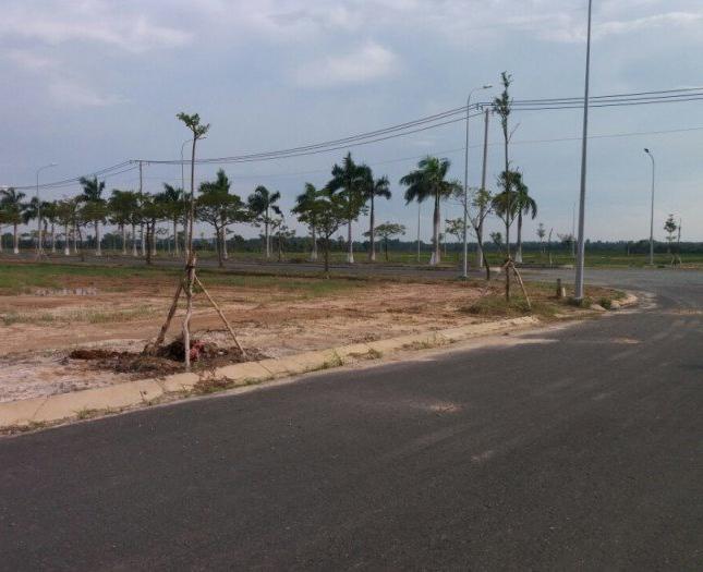 Cho thuê đất trống tại tp. Việt Trì, Phú Thọ với giá cực hợp lý 