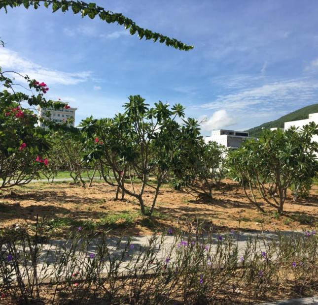 Green Home Quy Nhơn – Đất nền dự án giá bình dân