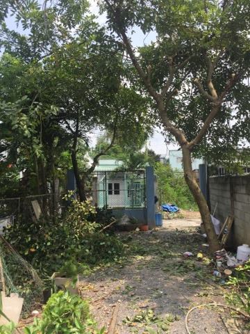 Bán lô đất 150m2 thổ cư hết hẻm 4A đường Nguyễn Văn Tiên, Tân Phong