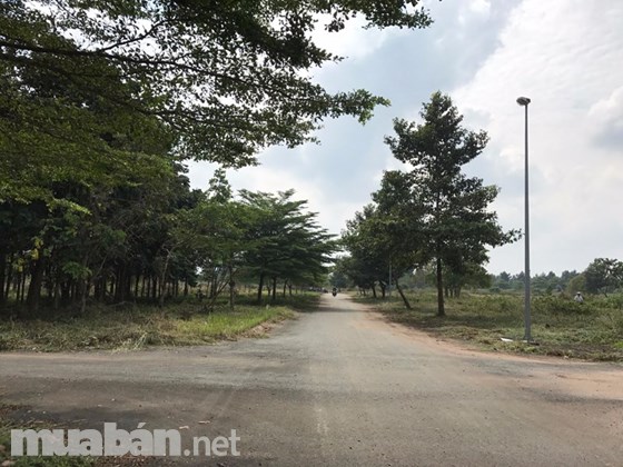 Cần bán gấp 2 lô đất liền kề Tam Phước, Biên Hòa
