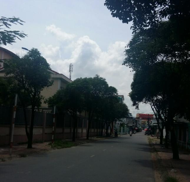 Cho thuê mặt bằng đường Nguyễn Duy Trinh, Bình Trưng Tây, Q2