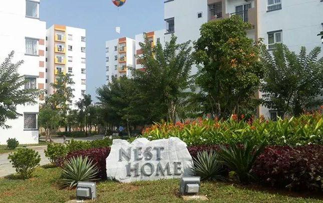 Cho thuê căn hộ Nest Home, tiêu chuẩn Hàn Quốc
