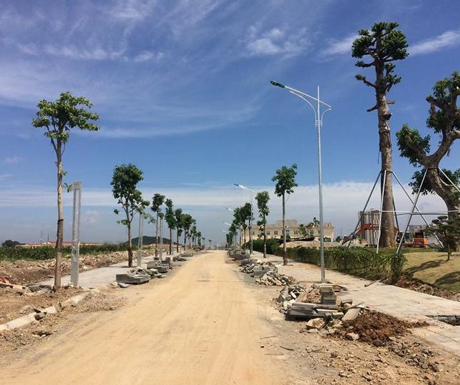 Đầu tư đất nền dự án Biệt Thự Phú Cát City  cơ hội nhận ngay 100tr cho 20 KH đầu tiên 
