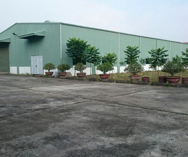Cho thuê kho, nhà xưởng, đất tại Đường Quốc lộ 18, Chí Linh,  Hải Dương diện tích 8126m²  giá 40Nghìn/m²/tháng