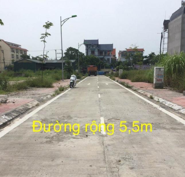 Bán ô đất 100m2 khu tái định cư Hồng Hải, hướng Đông Bắc, giá 44 tr/m2