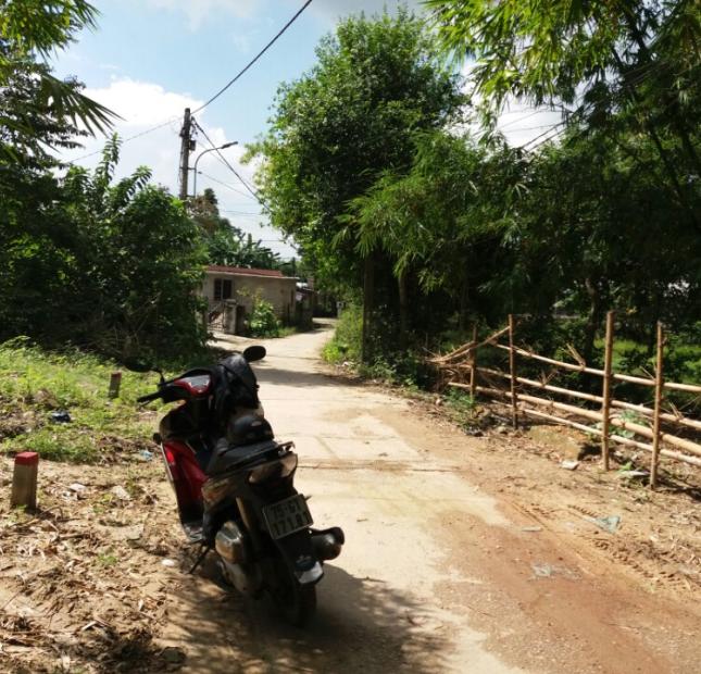 Bán đất nền 346triệu đường Minh Mạng, TP Huế, cao không bị lụt