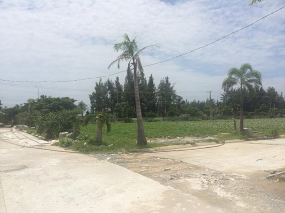 Không người trông coi bán 20 ha đất tại xã Thắng Hải, Huyện Hàm Tân, Tỉnh Bình Thuận