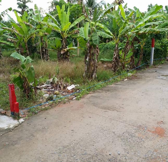 Chính chủ bán nền 8.5 m x 19 m = 169 m2 đất vườn, 480 triệu, khu dân cư cầu sắt Nguyễn Văn Trường