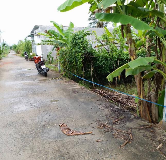Chính chủ bán nền 8.5 m x 19 m = 169 m2 đất vườn, 480 triệu, khu dân cư cầu sắt Nguyễn Văn Trường