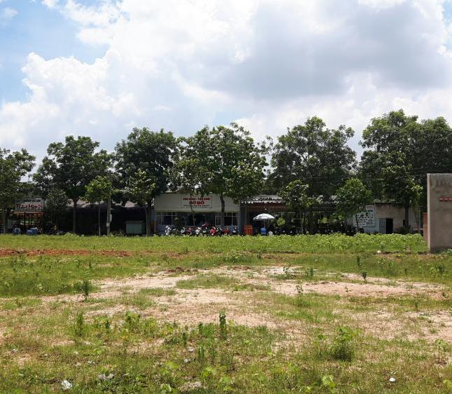 Đất sổ riêng giá rẻ ngay gần ngã tư Bình Thung, mặt tiền kinh doanh buôn bán.