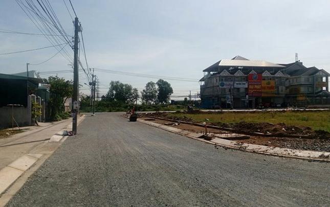 Cần bán lô đất gần chợ Đại Phước, Nhơn Trạch, DT 23.000m2, đất trồng cây lâu năm, giá 12 tỷ