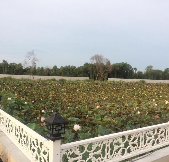 Bán đất nền Lucky Garden tại Tây Bắc Sài Gòn. Đẳng cấp của sự giàu sang