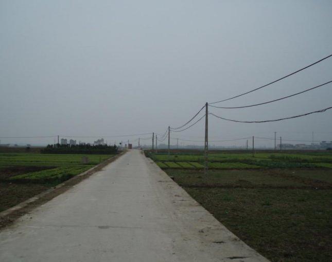 Bán đất tại xã Kim Bài, Thanh Oai, Hà Nội, diện tích 700m2, giá 3.5 tỷ