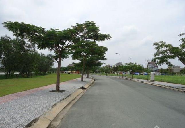  Bán đất mặt tiền đường Quốc lộ 50, Bình Chánh, 350tr/nền, SHR<XDTD>